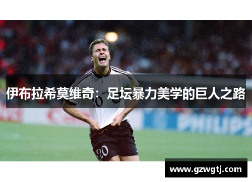 伊布拉希莫维奇：足坛暴力美学的巨人之路
